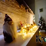 Zlatibor Apartman Krf 04